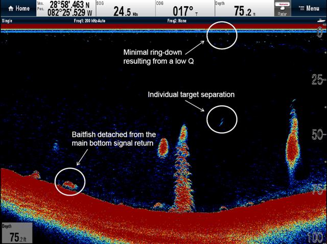 Fish Finder Screen