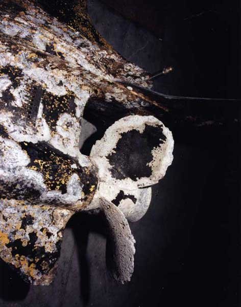 Galvanic Corrosion