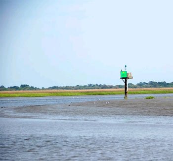 Green Channel Marker at Low Tide