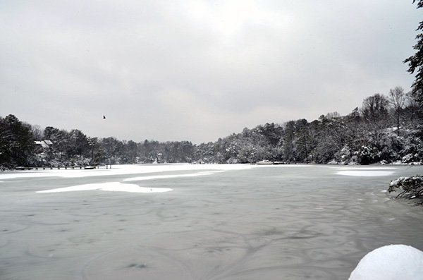 Frozen Creek