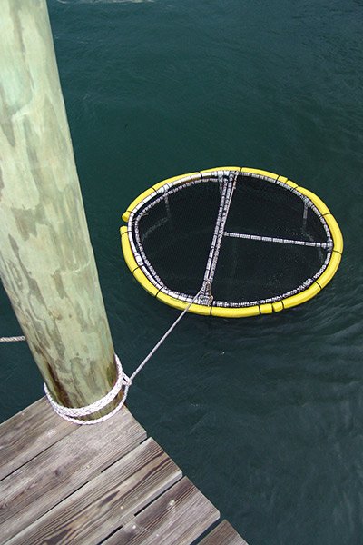 Live Bait Pens in the Water