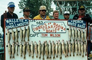 Big Walleye Catch