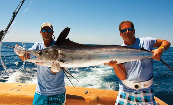 White Marlin Catch