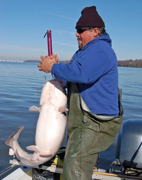 Angler with Big Catfish