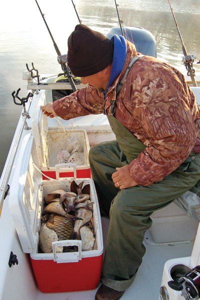 Bait for Catching Catfish