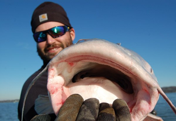 Captain Josh Fitchett with Catfish