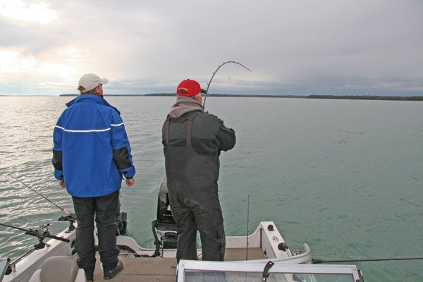 Fall Walleye Fishing