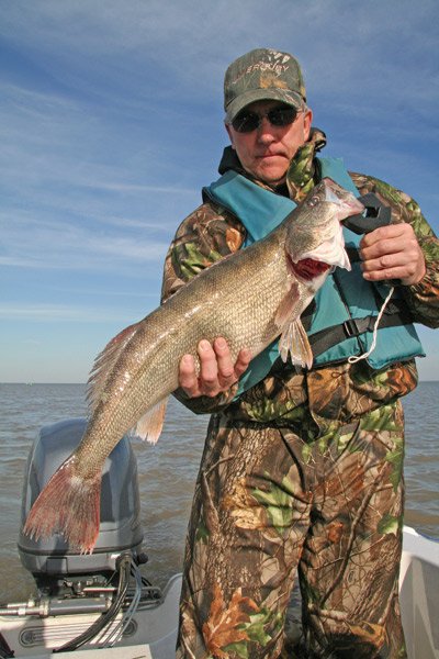 Walleye Catch