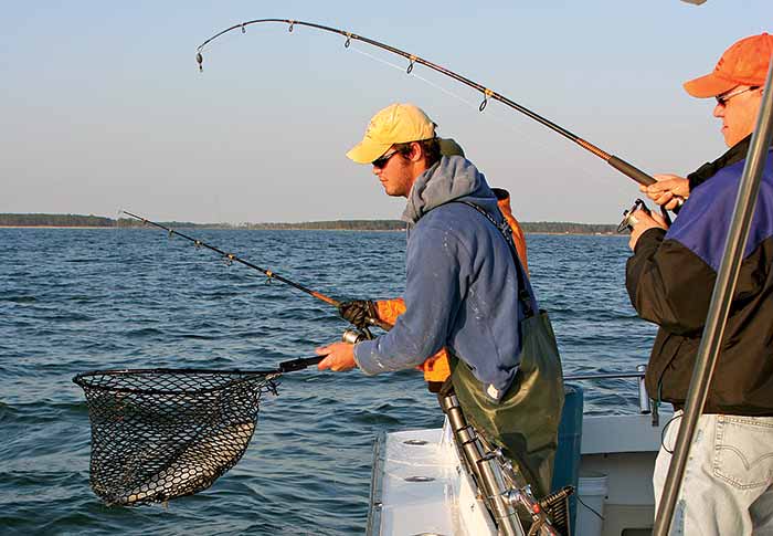 Netting a fish