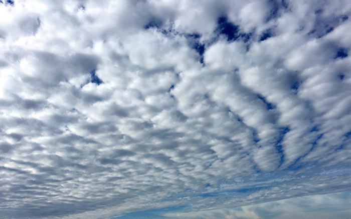 Altocumubus clouds