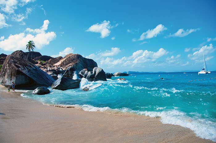 A sandy and rocky beach with bright turquoise waters and a palm tree with a white catamaran in the distance