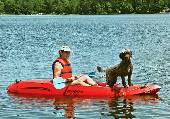 Portuguese water dog