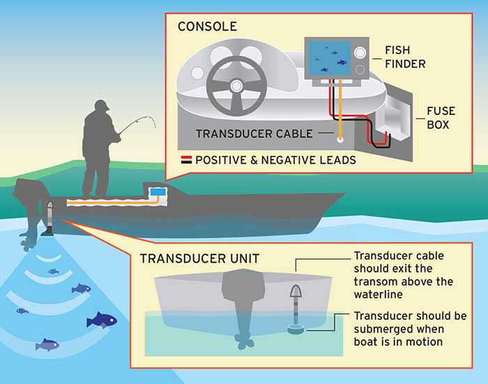 Fish finder illustration
