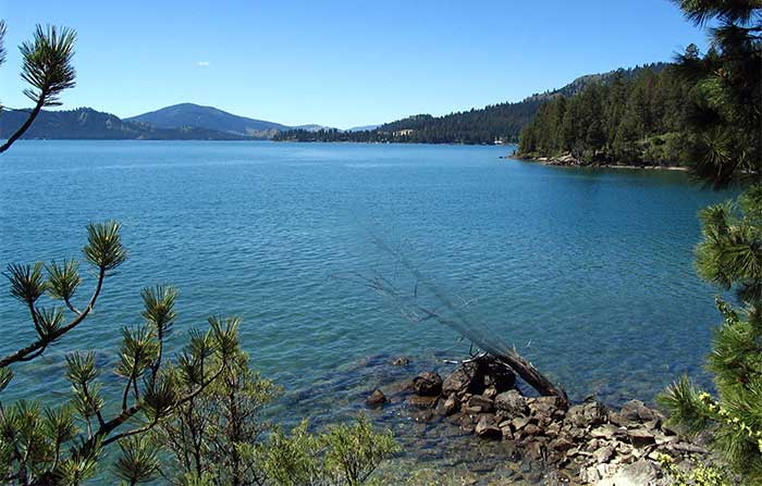 Flathead Lake surrounded by pine forests and mountains