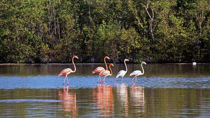 Everglades National Park