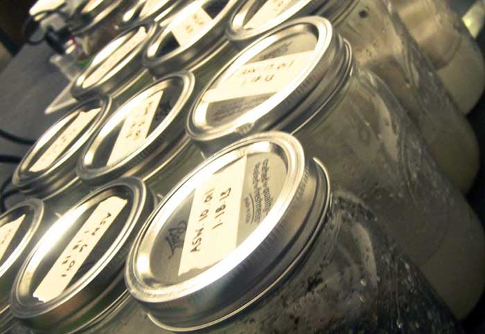 Oil samples lab tests