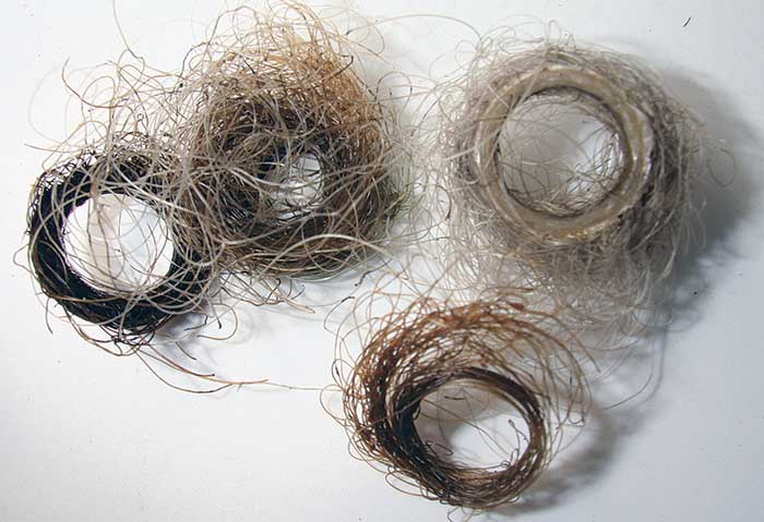 Monofilament