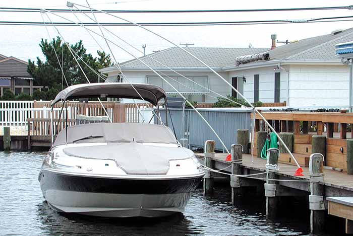 Monarch mooring whips