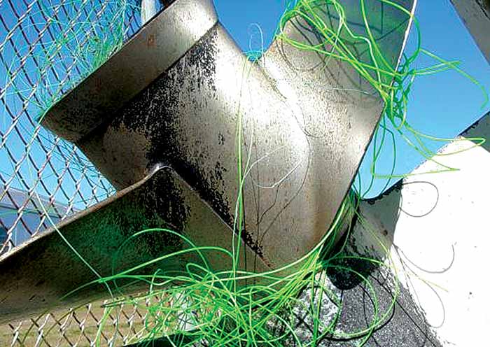 Outboard entanglement