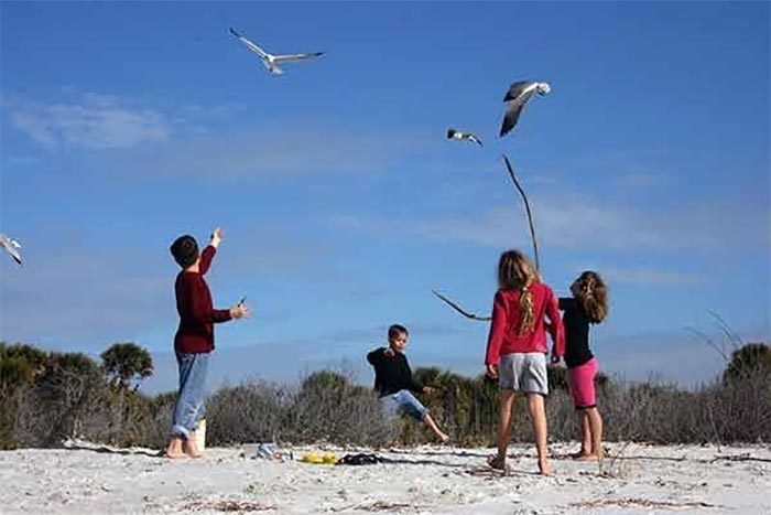 Playing on the beach
