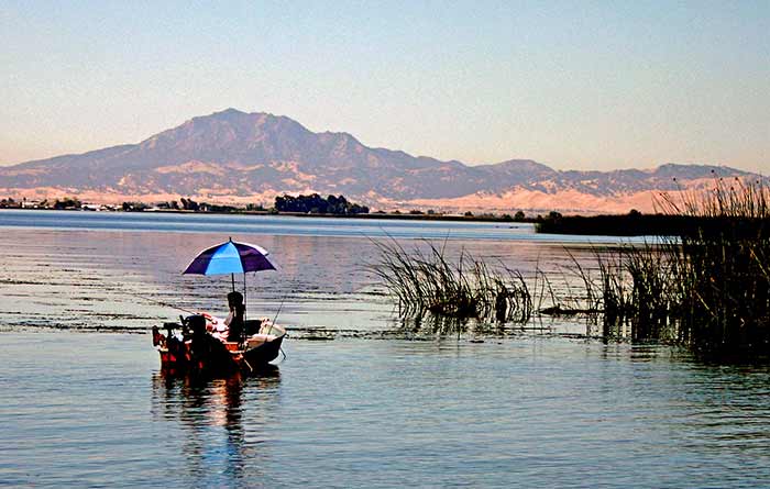 Fisherman with umbrella