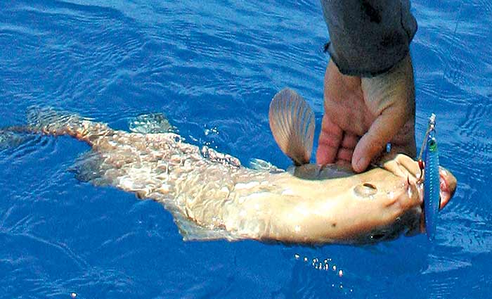 Color match lure to water