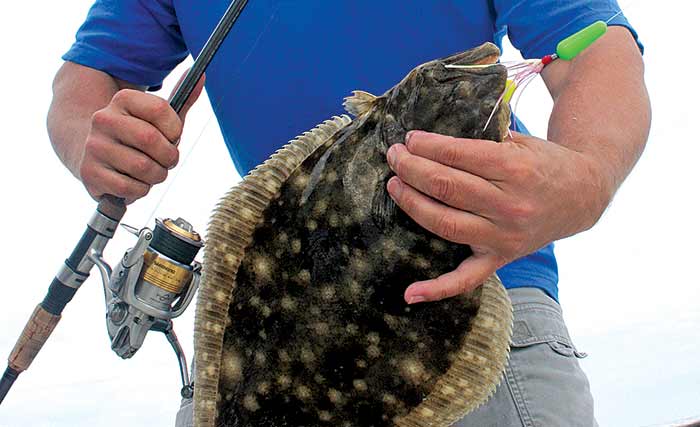 Contrasting color lure