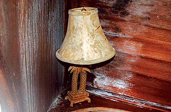 Mold growth in cabin