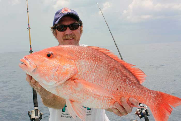 Red snapper catch