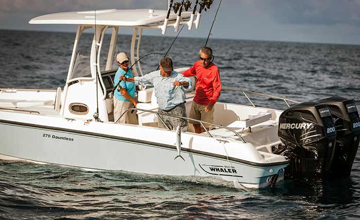 270 Dauntless fishing