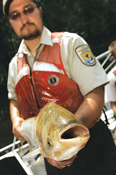 Holding asian carp