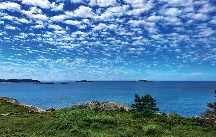 Photo color processed