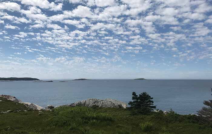 Photo not color processed