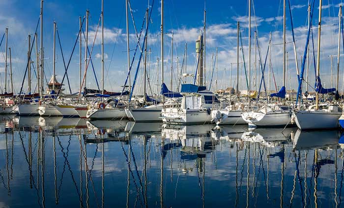 Boats docked at a marina
