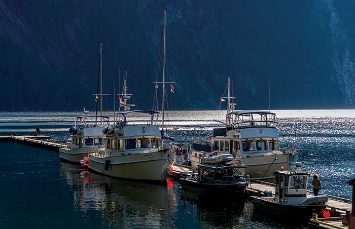 Boats from the group docked at Princess Louis