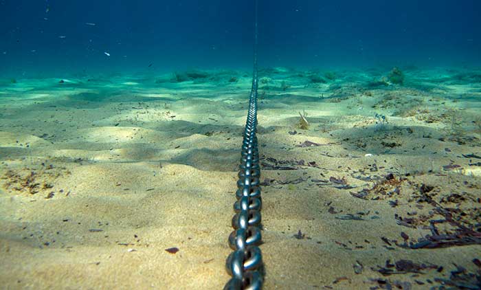 Anchor chain