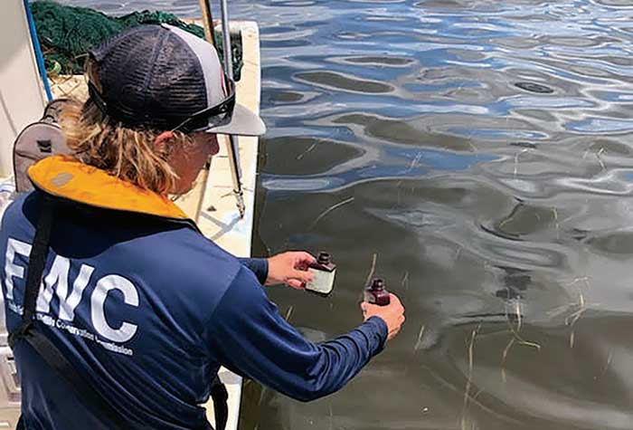 Collecting water samples