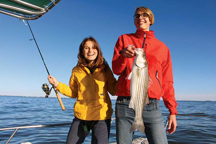 Striped bass catch