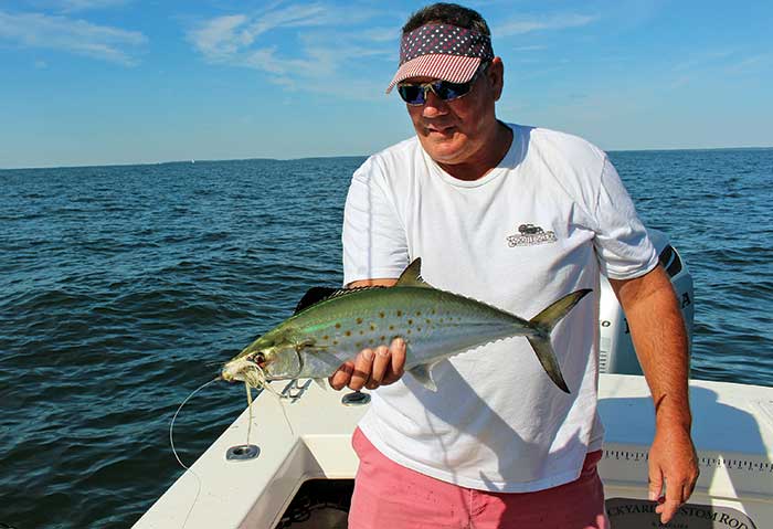 Spanish mackerel catch