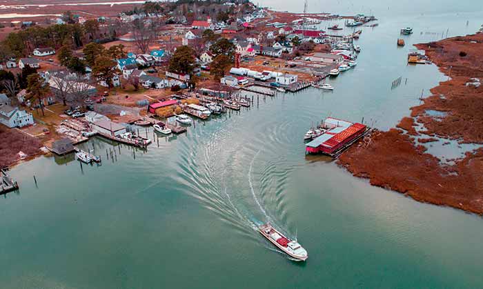 Transporting oysters