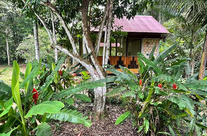 Amazon cabin