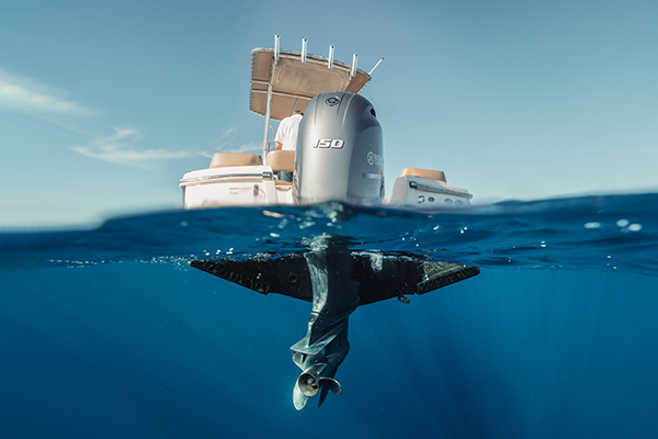 Submerged Seakeeper Ride using aviation technology to dramatically smooth out bumpy rides.