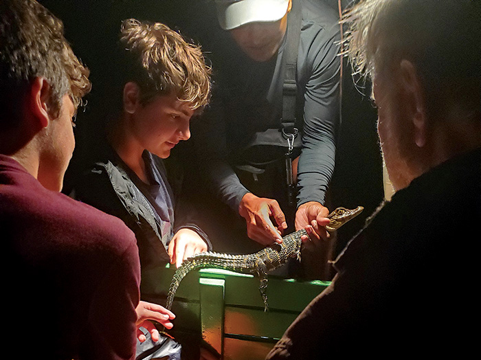 Two teenage males being shown a baby alligator by an adult male at night