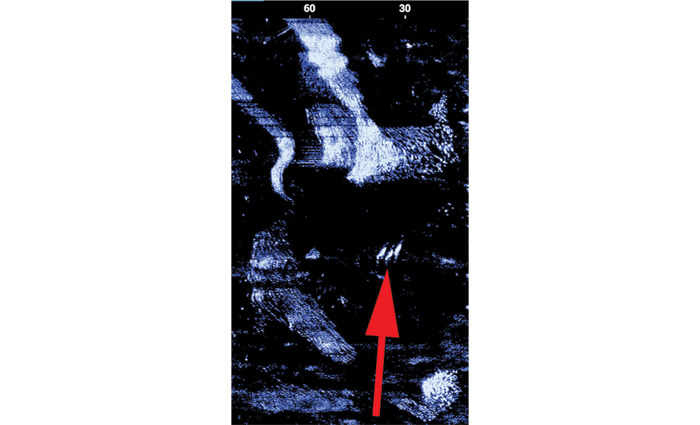 Fishfinder displaying schools of baitfish and the predators hunting them.