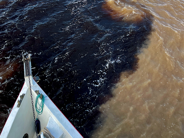 The Encontro das Águas, or Meeting of the Waters, is the confluence of the sandy-colored Amazon River and the dark Rio Negro. 