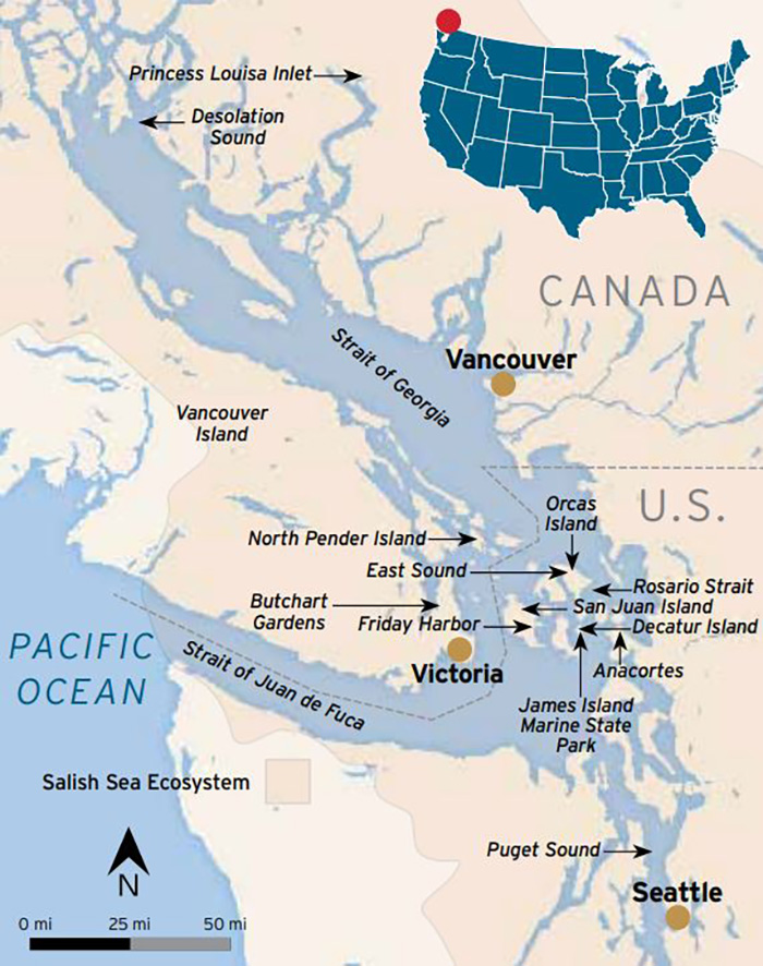 Graphic displaying Canadian and U.S. entry requirements for pleasure boats.