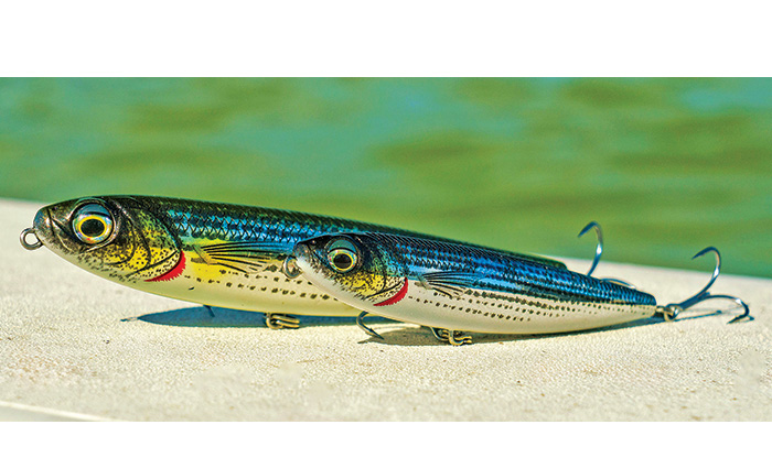Up-close view of two multi-color lures