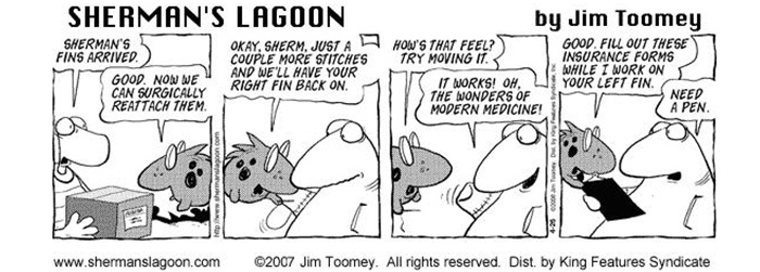 Black and white comic illustration featuring a turtle and fish.