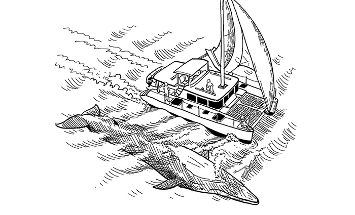 Illustration of a large whale swimming under a sailboat out at sea.