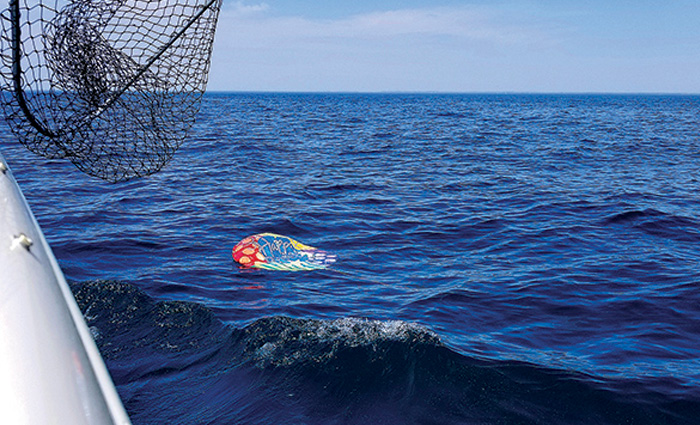 A deflated large multi-color balloon in clear blue open waters.